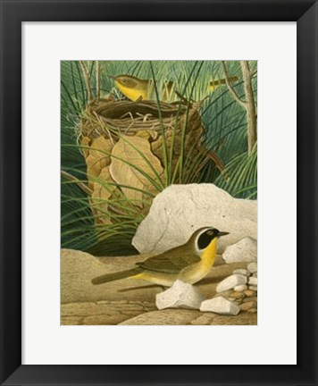 Framed Maryland Yellow-Throat Print