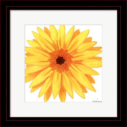 Framed Bright Blossoms IV Print