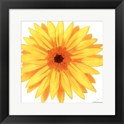 Framed Bright Blossoms IV Print