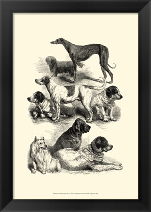 Framed International Show Dogs, 1863  II Print