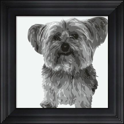 Framed Yorkie Print