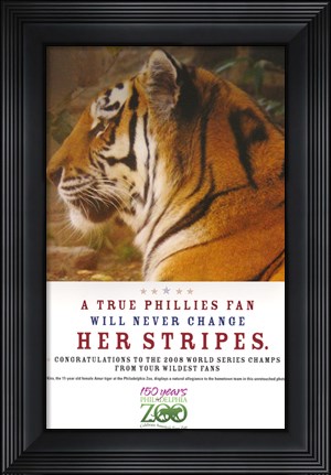 Framed True Phillies Fan - Philadelphia Zoo Print