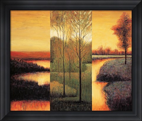 Framed Vistas II Print