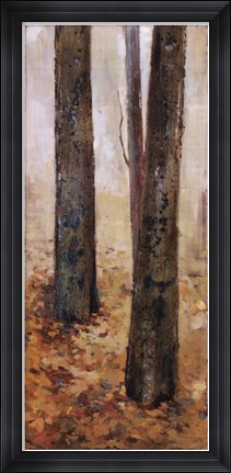 Framed Tranquil Forest II Print