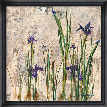 Framed Iris Mist Print