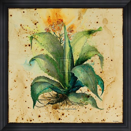 Framed Aloe IV Print