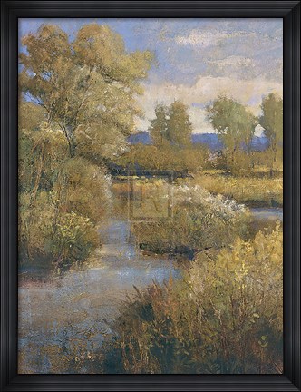 Framed Verde Valley Print