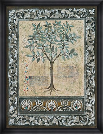 Framed Fresco Botanica I Print