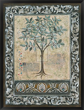 Framed Fresco Botanica I Print