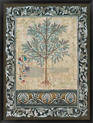 Framed Fresco Botanica II Print