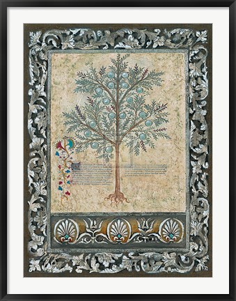 Framed Fresco Botanica II Print