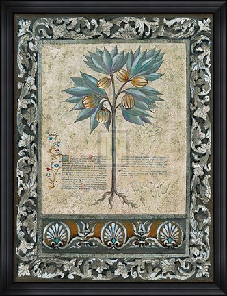 Framed Fresco Botanica III Print