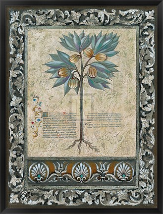Framed Fresco Botanica III Print