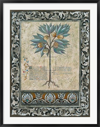Framed Fresco Botanica III Print