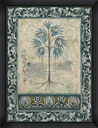 Framed Fresco Botanica IV Print