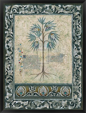 Framed Fresco Botanica IV Print