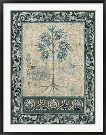 Framed Fresco Botanica IV Print