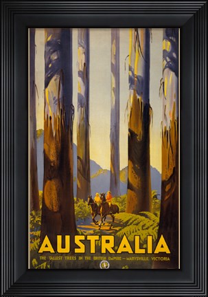 Framed Australia - Tallest Trees Print