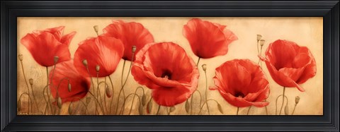Framed Poppies Grace I Print