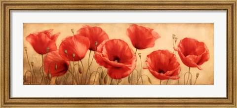 Framed Poppies Grace I Print
