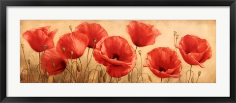 Framed Poppies Grace I Print