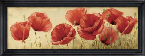 Framed Poppies Grace II Print