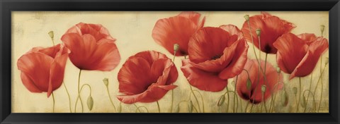 Framed Poppies Grace II Print