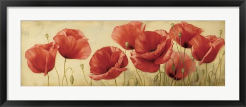 Framed Poppies Grace II Print