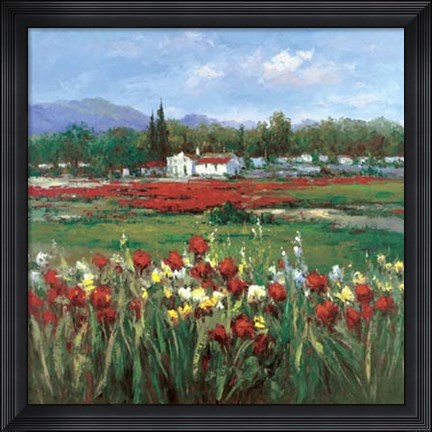 Framed Red Flower Field Print