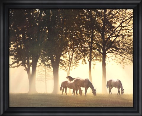 Framed Horses in the Mist Print