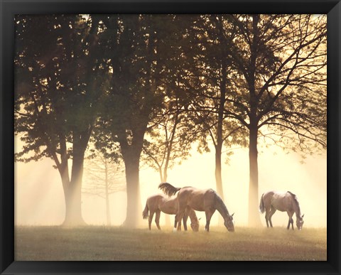 Framed Horses in the Mist Print