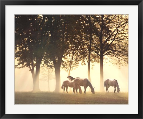 Framed Horses in the Mist Print