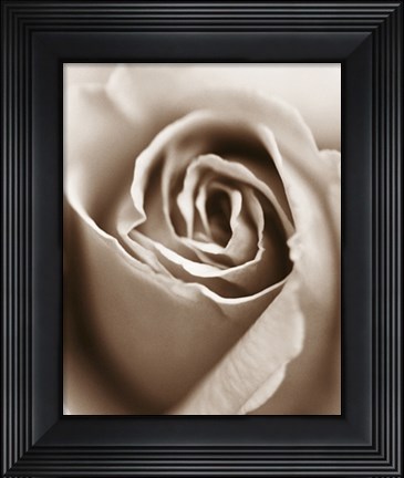 Framed Heart of the Rose Print