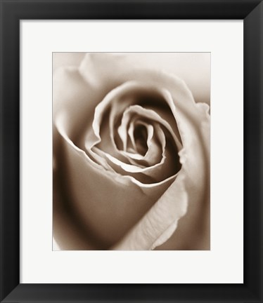 Framed Heart of the Rose Print
