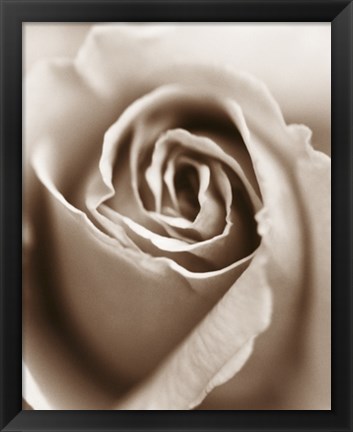 Framed Heart of the Rose Print