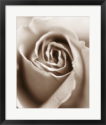 Framed Heart of the Rose Print