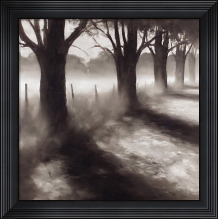 Framed Path by Field Print