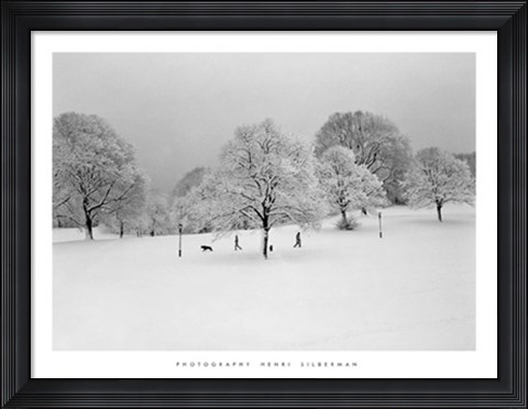 Framed Prospect Park Trees Print