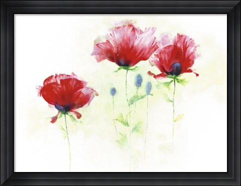 Framed Red Poppies II Print