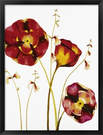 Framed Poppies Print