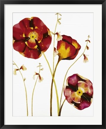 Framed Poppies Print