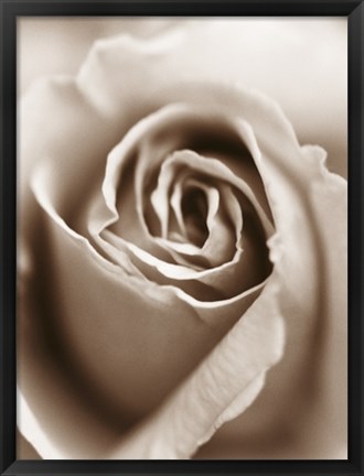 Framed Heart of the Rose Print