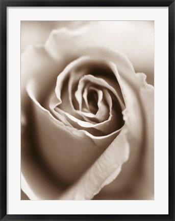 Framed Heart of the Rose Print