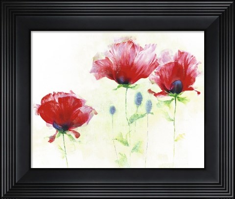 Framed Red Poppies II Print