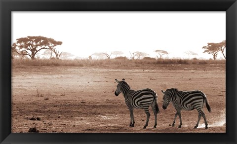 Framed Crossing The African Plains Print