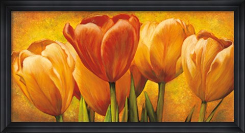 Framed Bouquet of orange tulips Print