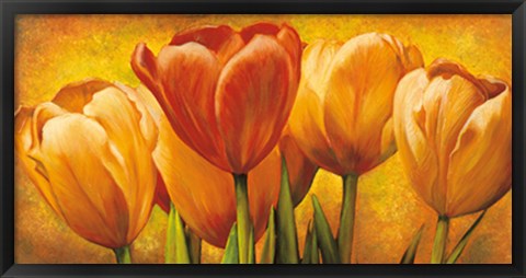 Framed Bouquet of orange tulips Print