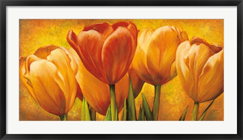 Framed Bouquet of orange tulips Print