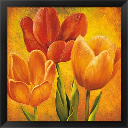 Framed Orange Tulips I Print