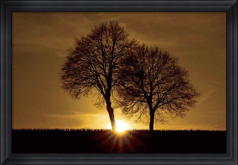 Framed New Beginning Print